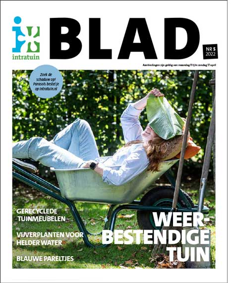 Beeld-Intratuin-1