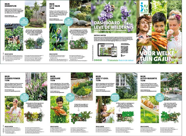 Beeld-Intratuin-4